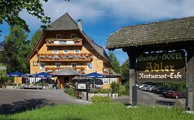Hotel Adler Baerental